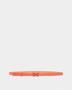 Bally B Chain Leather Belt Multicolor | QFPIJ4820
