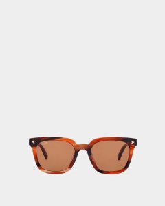 Bally Eben Acetate Sunglasses Brown | PIQHN0457