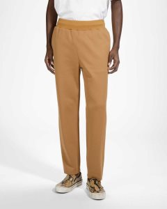 Bally Sports Trousers Brown | CBGKD0962