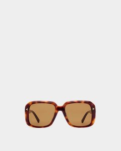 Bally Thun Acetate Sunglasses Brown | GZHMS6083